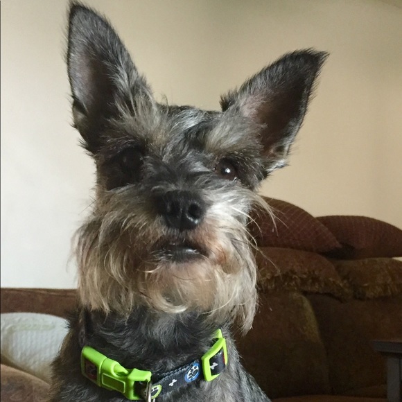 Meet your Posher, Marie - Picture 2 of 4